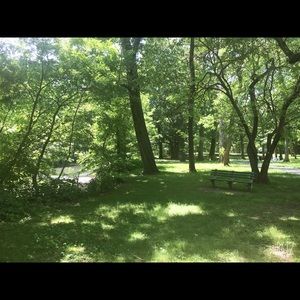 Meet your Posher, Haifa